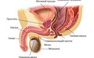 Мочеиспускание у мужчин (дирузия): виды нарушений и их лечение