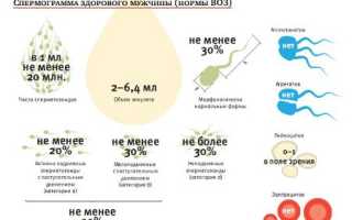 Расшифровка спермограммы: как понять тонкости результатов анализа